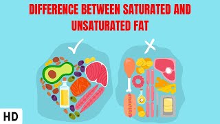 Saturated Fat amp Unsaturated Fat Explained In Hindi [upl. by Ydnih]