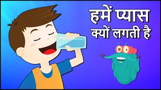 हमें प्यास क्यों लगती है  Why Do We Drink Water In Hindi  DrBinocs Show  Importance Of Water [upl. by Lama]