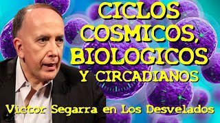 LOS DESVELADOS  VICTOR SEGARRA CICLOS COSMICOS BIOLOGICOS Y CIRCADIANOS [upl. by Haidebej]