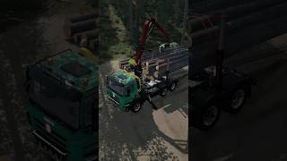 TRANSPORTING 15m LOGS WITH TATRA PHOENIX TROUGH MUD  Farming Simulator 22 shorts farmingsimulator [upl. by Waddell]