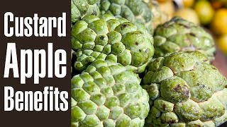 10 Health Benefits Of CUSTARD APPLE Sitaphal [upl. by Aronos]