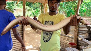 Wow Long Eel Fish Skinning Skills In Village Fish Market Sri Lanka [upl. by Einnor]