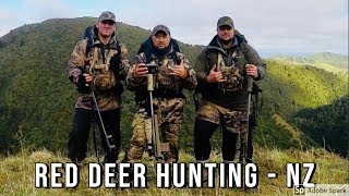 Red Deer Hunting New Zealand  Big quotOquots 300WSM [upl. by Anairdna]