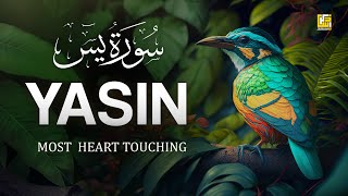 Worlds most beautiful Quran recitation of Surah Yasin Yaseen سورة يس  Zikrullah TV [upl. by Anima]