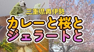 奥伊勢の桜巡り楽しいお花見まさかの悲劇が・・ドローン空撮 [upl. by Davidson587]