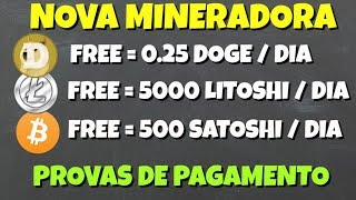 scam Mineradora Bitcoin Litecoin DOGE FREE Fastzona  Provas de Pagamento DOGE [upl. by Crofoot]