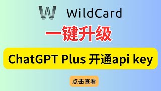 使用Wildcard注册到升级ChatGPT Plus，openai api，获取mastercard（万事达）美元信用卡的最新方法！支持支付宝支付，邀请链接在简介 [upl. by Afesoj]