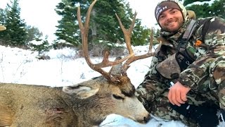 ARCHERY HUNTING MULE DEER IN THE RUT [upl. by Georgeanne]