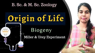 ORIGIN OF LIFE Part3  Biogeny  Evolution  B Sc amp M Sc Zoology [upl. by Siraved]