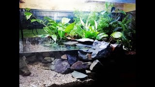 AquaTerrarium Wasserteil einrichten möglichst günstig [upl. by Bonne877]