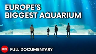 Aquarium Megastructure Nausicaa  FULL DOCUMENTARY [upl. by Nuahsyd]