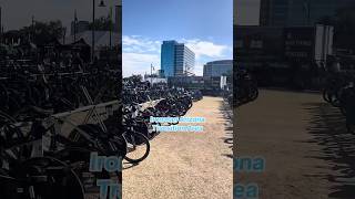 10 Million Worth of Bikes at Ironman Arizona ironmantri ironmantraining endurancetraining [upl. by Christos295]