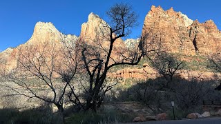 Zion National Park Scenic Drive [upl. by Gipps111]