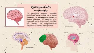 NEUROBIOLOGÍA DE LAS ADICCIONES [upl. by Nireil658]