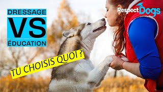 🐶 Quelle est la différence entre dressage et éducation canine 📚 [upl. by Eirrot]