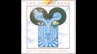 The Chameleons  What Does Anything Mean Basically1985PostPunkAltRockNew Wave [upl. by Talbot]