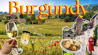 Best Things to Do in Burgundy  France Travel Vlog [upl. by Rovaert]