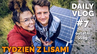 DAILY VLOG  ŚWIĘTUJEMY i się żegnamy  z daily vlogami [upl. by Liahus]