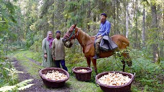 Happy Independent Life of SelfSufficient Families In Remote Villages of Russia [upl. by Radnaskela]