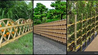 Bamboo Fence  bamboo garden ideas  garden ideas [upl. by Ronel]