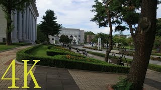 4K  Korea Sahmyook University Walk  삼육대학교 산책 [upl. by Alesram]