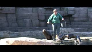 Das neue EISMEER bei Hagenbeck [upl. by Telocin765]