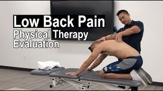 Low Back Pain FULL Physical Therapy Evaluation [upl. by Eppesiug]