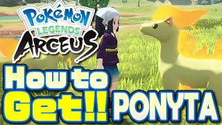 How to Get Ponyta in Pokemon Legends Arceus Ponyta Location [upl. by Kamaria139]