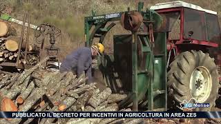 Pubblicato il decreto per incentivi in agricoltura in area Zes [upl. by Repard]