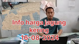 Info harga jagung kering hari ini 16082024 [upl. by Ellehcar]