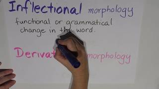 Episode 6  Morphology  Inflectional vs derivational [upl. by Niledam]