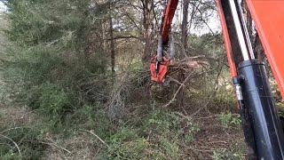 Clearing old fence rows for one more day [upl. by Stahl]