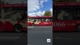 Dedicated To The Memory Of The Battle Of Hastings shorts hastings uk travel bus [upl. by Proctor]