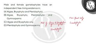 Male and female gametophytes have an independent freeliving existence in [upl. by Durgy254]