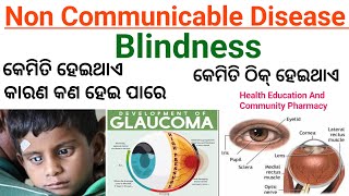 ଅନ୍ଧାରକଣା  BLINDNESS  NON COMMUNICABLE DISEASE  CAUSES OF BLINDNESS  Find Your Job hecp [upl. by Martz798]