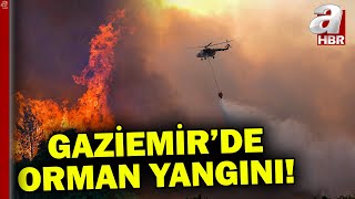 İzmir Gaziemirde çıkan orman yangınına havadan ve karadan müdahale  A Haber [upl. by Sirej]