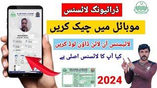 How To Check Driving licence in Pakistan  Driving licence Check Karne Ka Tarika Pakistan [upl. by Ahsocin]