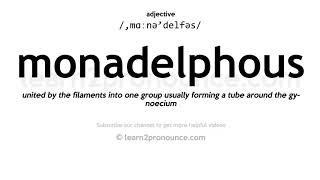 Pronunciation of Monadelphous  Definition of Monadelphous [upl. by Anitsirhcairam643]