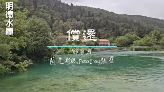 償還 鄧麗君 薩克斯風 Peter Chang 張羣 [upl. by Eintruok]