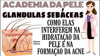 256 Glândulas Sebáceas como elas interferem na hidratação da pele e na formação da acne [upl. by Gulgee]