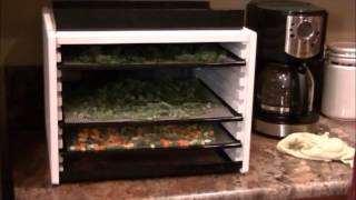 Dehydrating Veggies vs 10 Cans [upl. by Jerald]