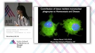 Contribution of Tissue Resident Mononuclear Phagocytes to Homeostasis and Disease [upl. by Yrrap]