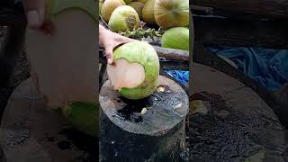 Super fresh coconut coconutcutting coconut [upl. by Atinar]