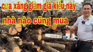 🔴🔴🔴🔴🔴SALE cưa xăng 2 thì KUTAN giảm giá lịch sử còn tặng quà 650k nhà nào cũng mua [upl. by Shel]