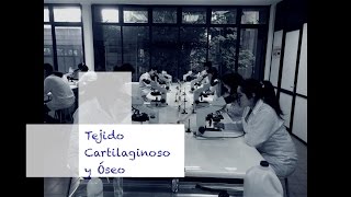 Tejido Cartilaginoso y Óseo [upl. by Maite]