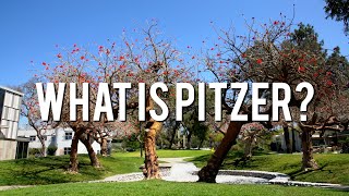 What Is Pitzer [upl. by Ailido]