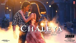 Main Taan Chaleya  JAWAN  Shah Rukh Khan  Nayanthara  Hindi song [upl. by Idham]