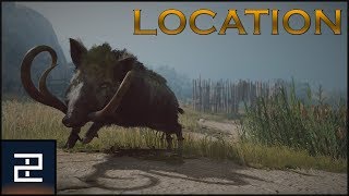 Assassins Creed Odyssey  The Erymanthian Boar  LEGENDARY Location [upl. by Leirum]