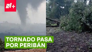 Tornado arranca huertas de aguacate en Michoacán  N [upl. by Jaquelyn]