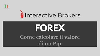 Interactive Brokers come calcolare il valore di un Pip [upl. by Hakim457]